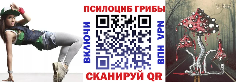 Купить  Рыльск  Галлюциногенные грибы Psilocybine cubensis 
