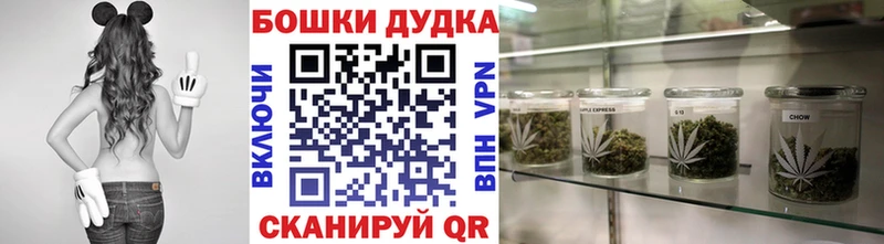 Бошки марихуана ГИДРОПОН  Купить где  Рыльск 